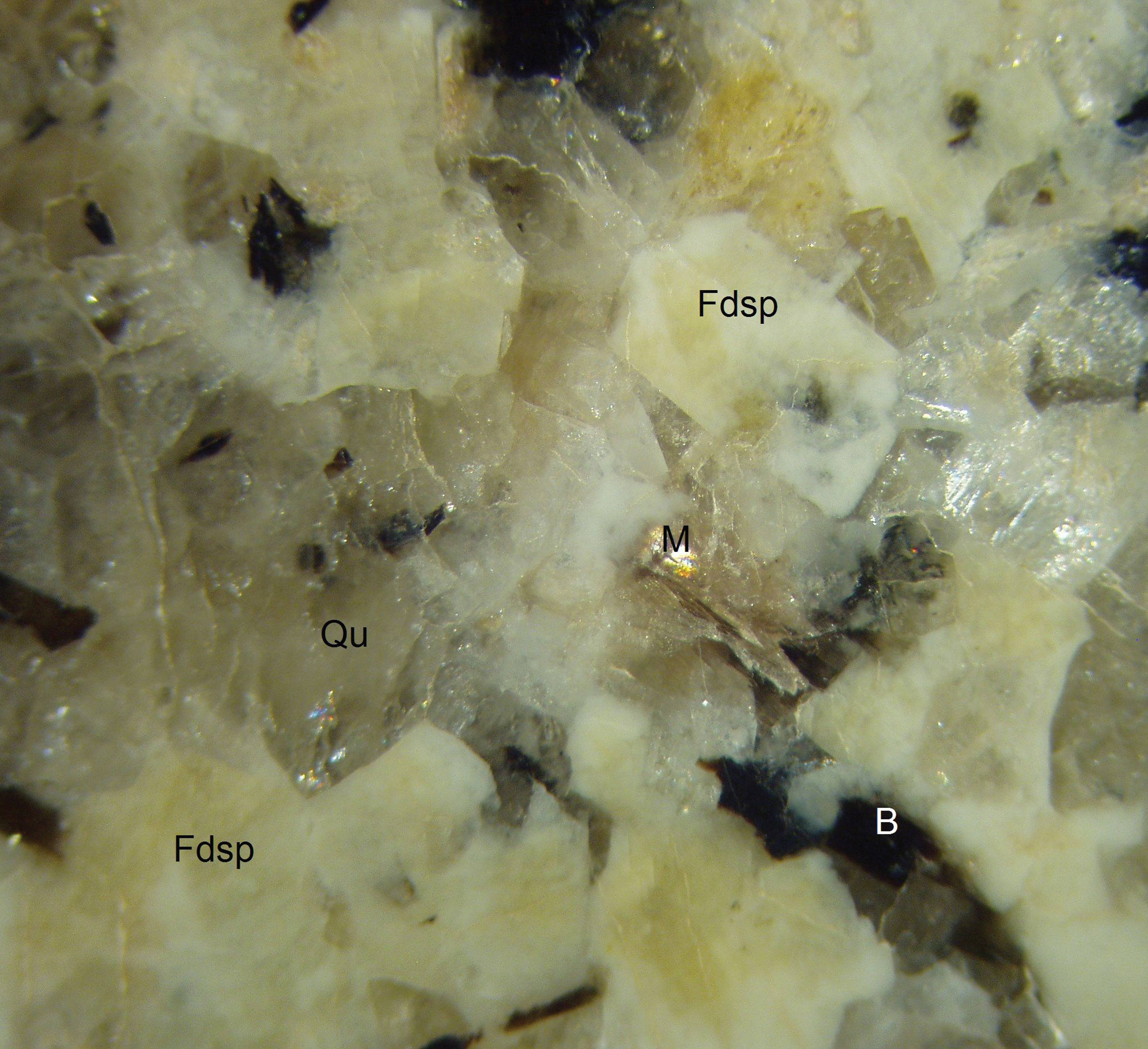 Vergrößerte Ansicht